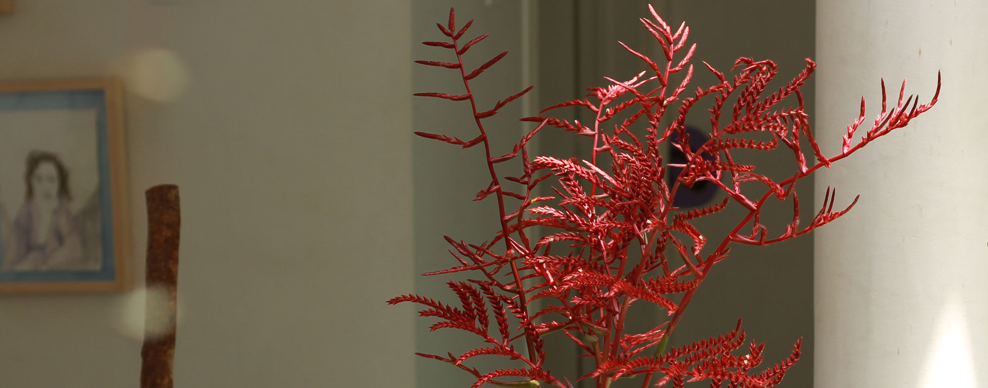 Flor de bromelia