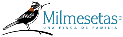 Logo Milmesetas