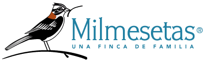 Logo Milmesetas